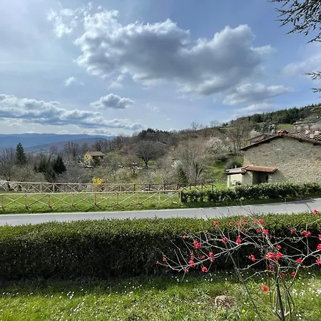 L'orto Di Scarpaccia