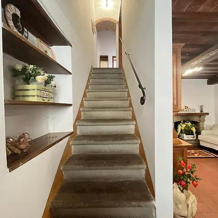 L'orto Di Scarpaccia